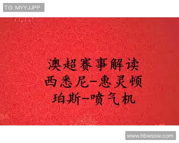 惠灵顿与纽喷射机的精彩对决分析与赛季展望
